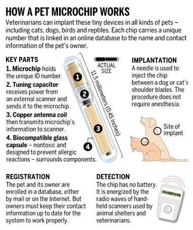 Microchip-scanner - Chiswick